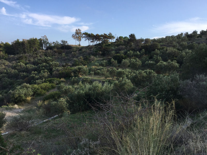 For sale: Attractive piece of Greek island Kythira sloping toward the coast. The sublime view and total tranquility are included.