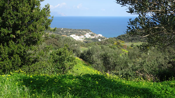 Large piece of land for sale on Greek island with scenic views of the sea
